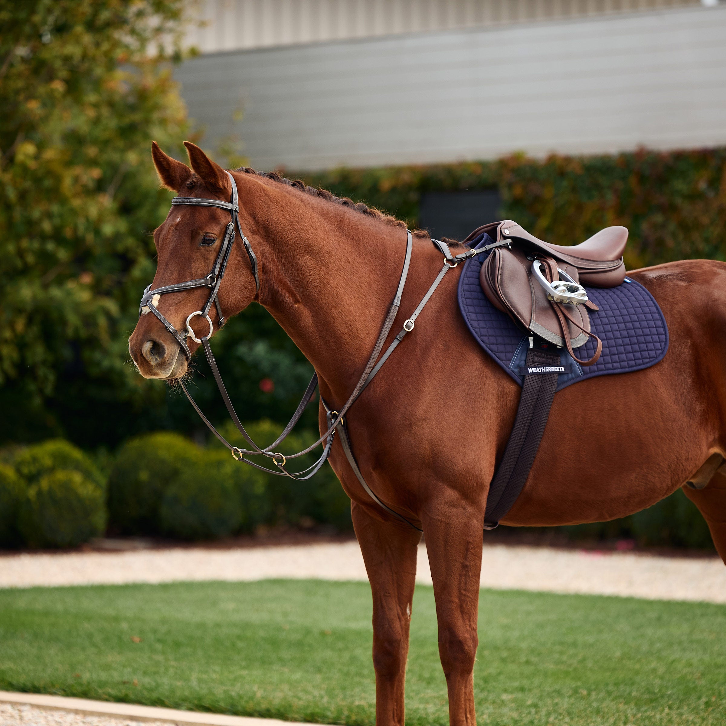 image_main - Brown - Dublin 3-Point Breastplate - .jpg