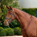 image_main - Brown - Dublin Padded Flash Bridle - .jpg