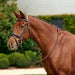 image_main - Brown - Dublin Padded Mono Crown Flash Bridle - .jpg