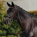 image_main - Brown - Dublin Padded Mono Crown Patent Flash Bridle - .jpg