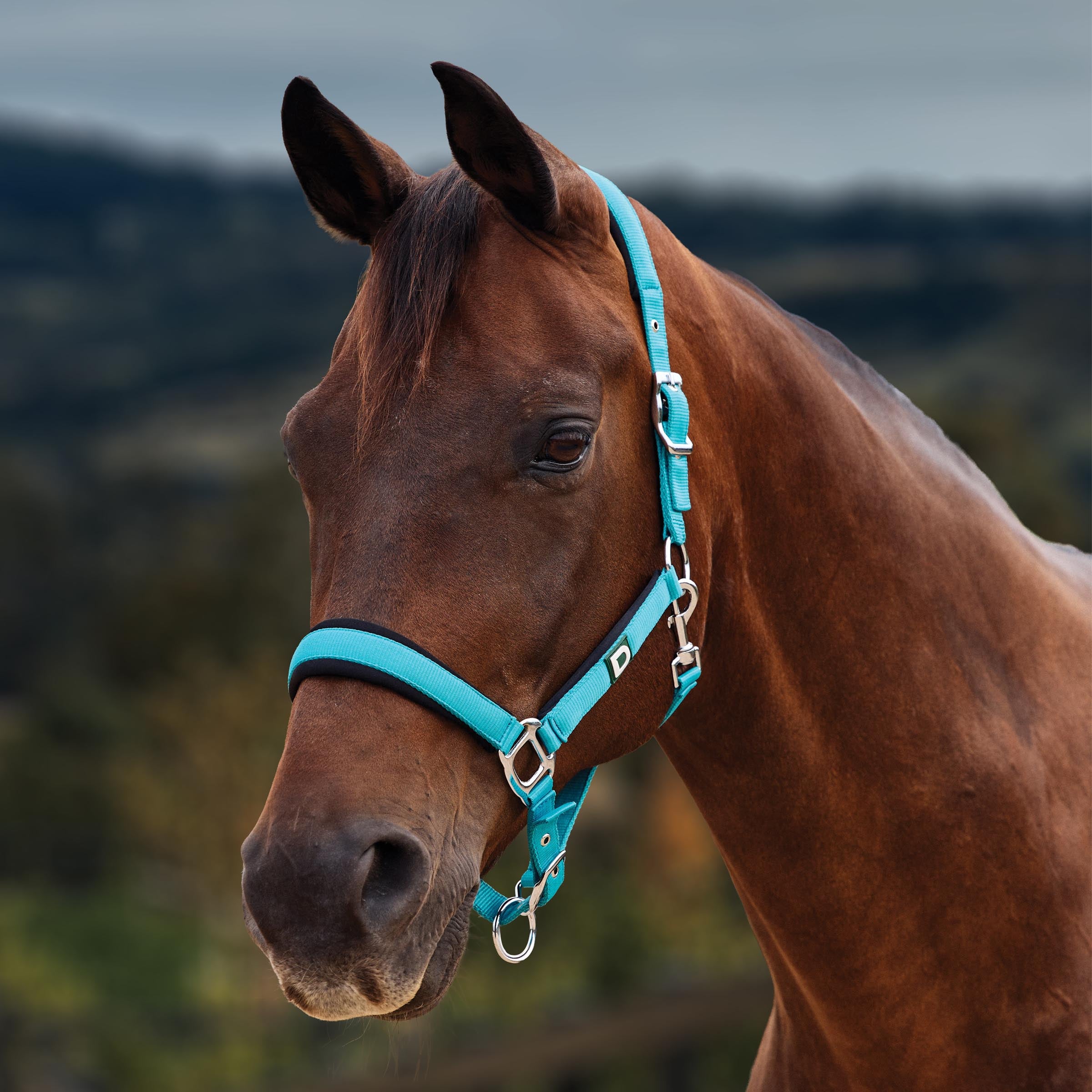 image_main - Dark Turquoise - Dublin Neo Comfort Breakaway Halter - .jpg