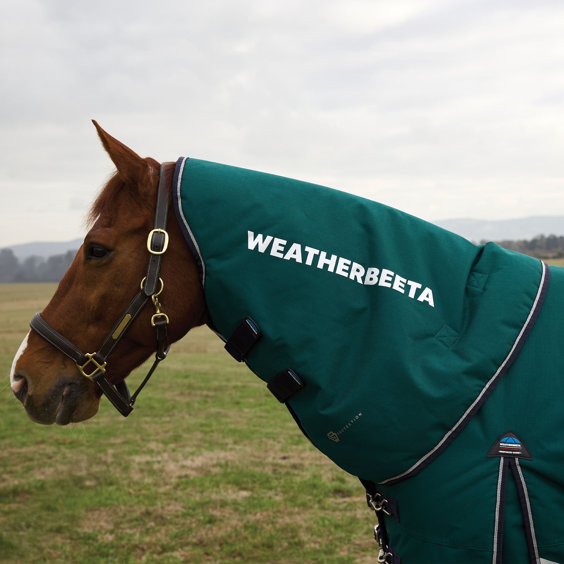 image_main - Forest Green/Navy - WeatherBeeta ComFiTec Plus Dynamic Turnout Neck Cover 0g - .jpg