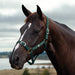 image_main - Green - Dublin Everyday Breakaway Halter - .jpg