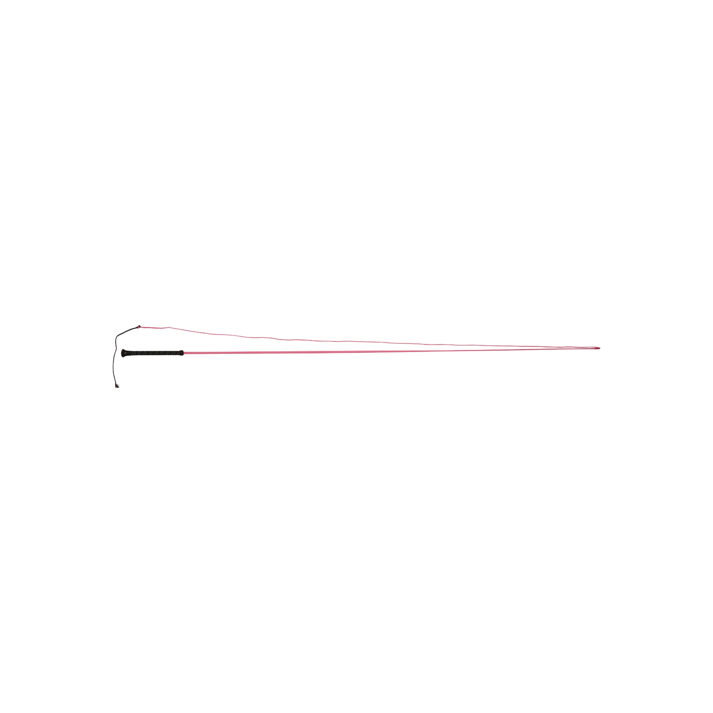 image_main - Hot Pink - Dublin Brights Lunge Whip - .jpg