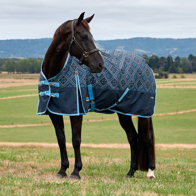 image_main - Paisley Print - WeatherBeeta ComFiTec Heritage Turnout 100G - .jpg