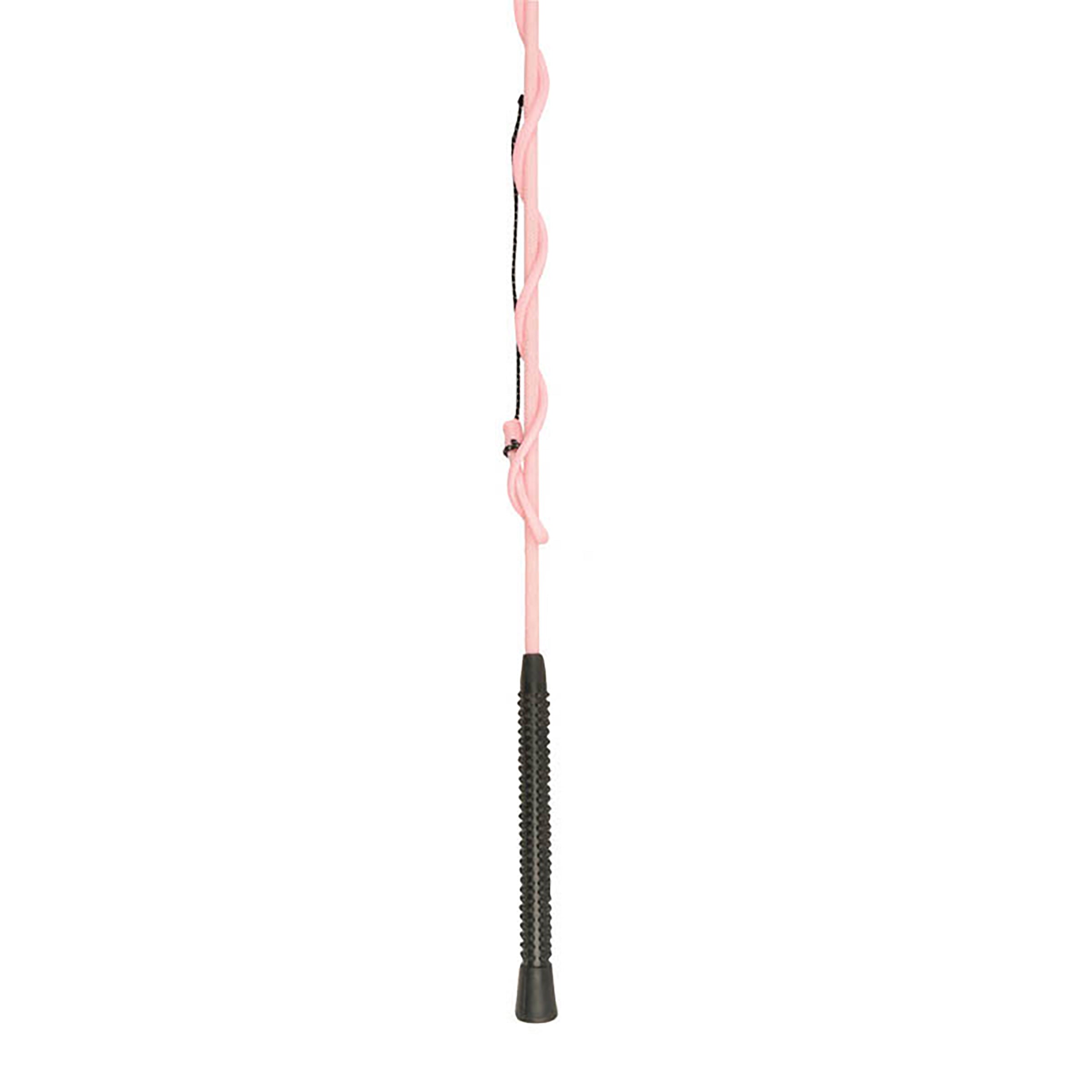 image_main - Pink - Dublin Lunge Whip - .jpg