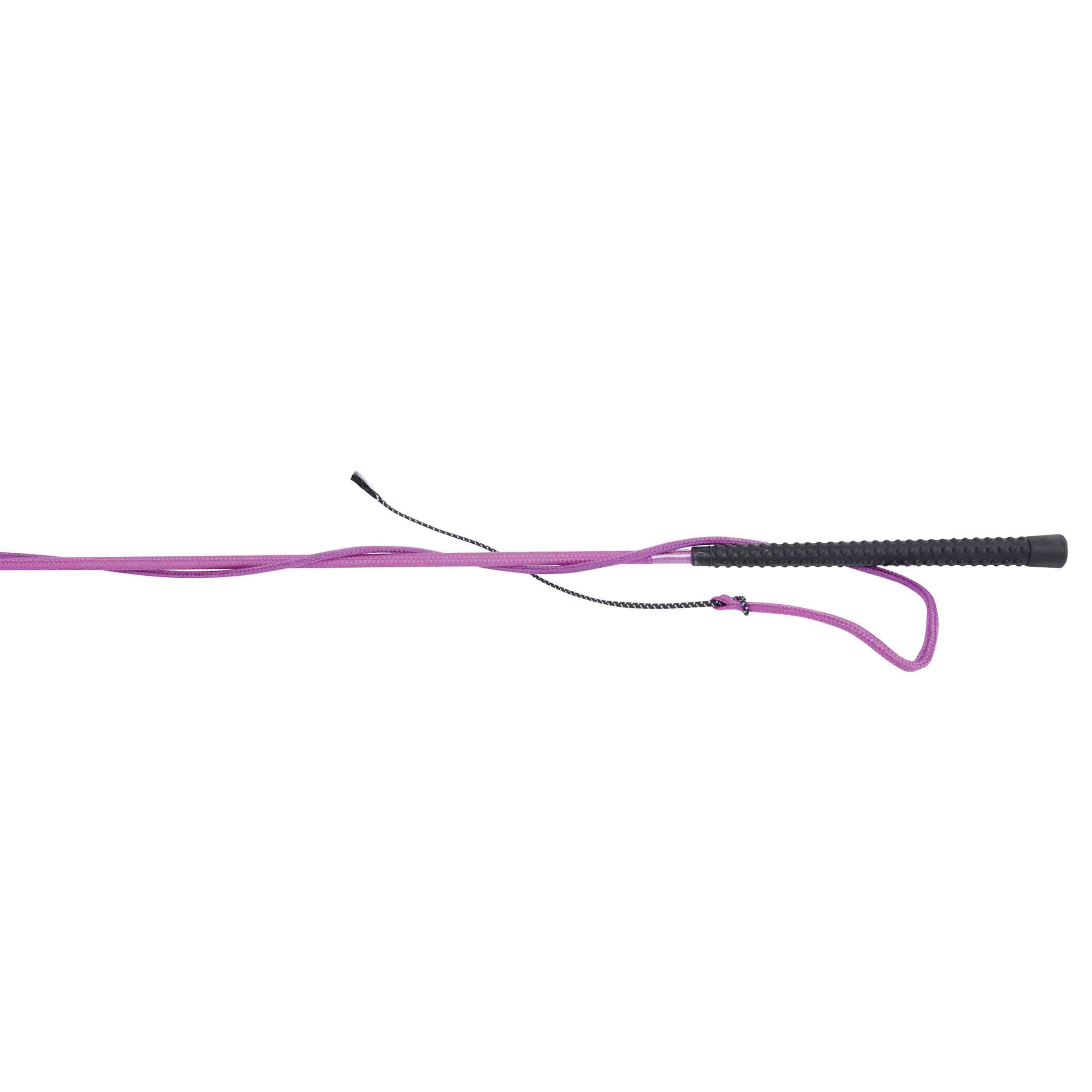 image_main - Purple - Dublin Lunge Whip - .jpg