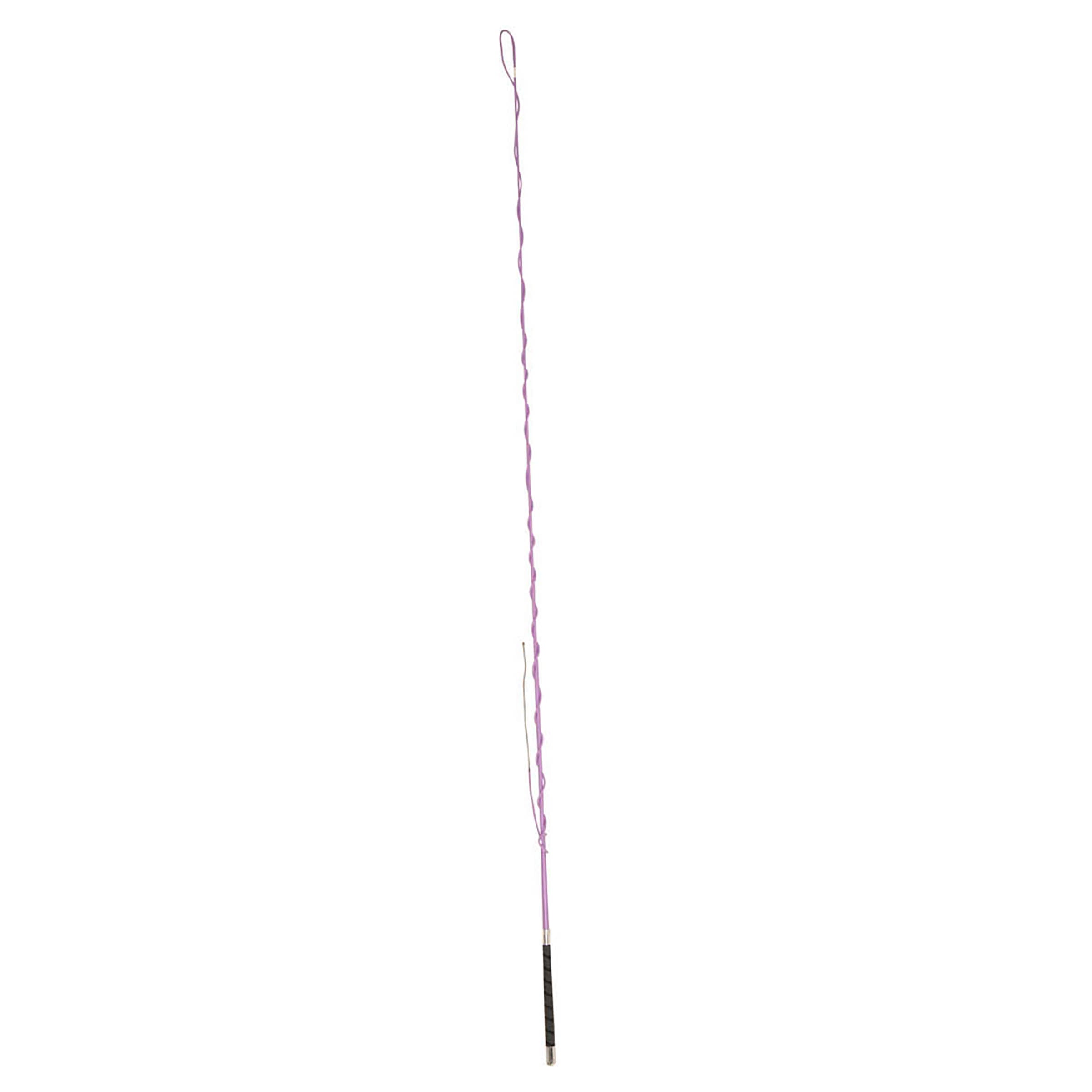 image_main - Purple - Dublin Lunge Whip with Grip Handle - .jpg