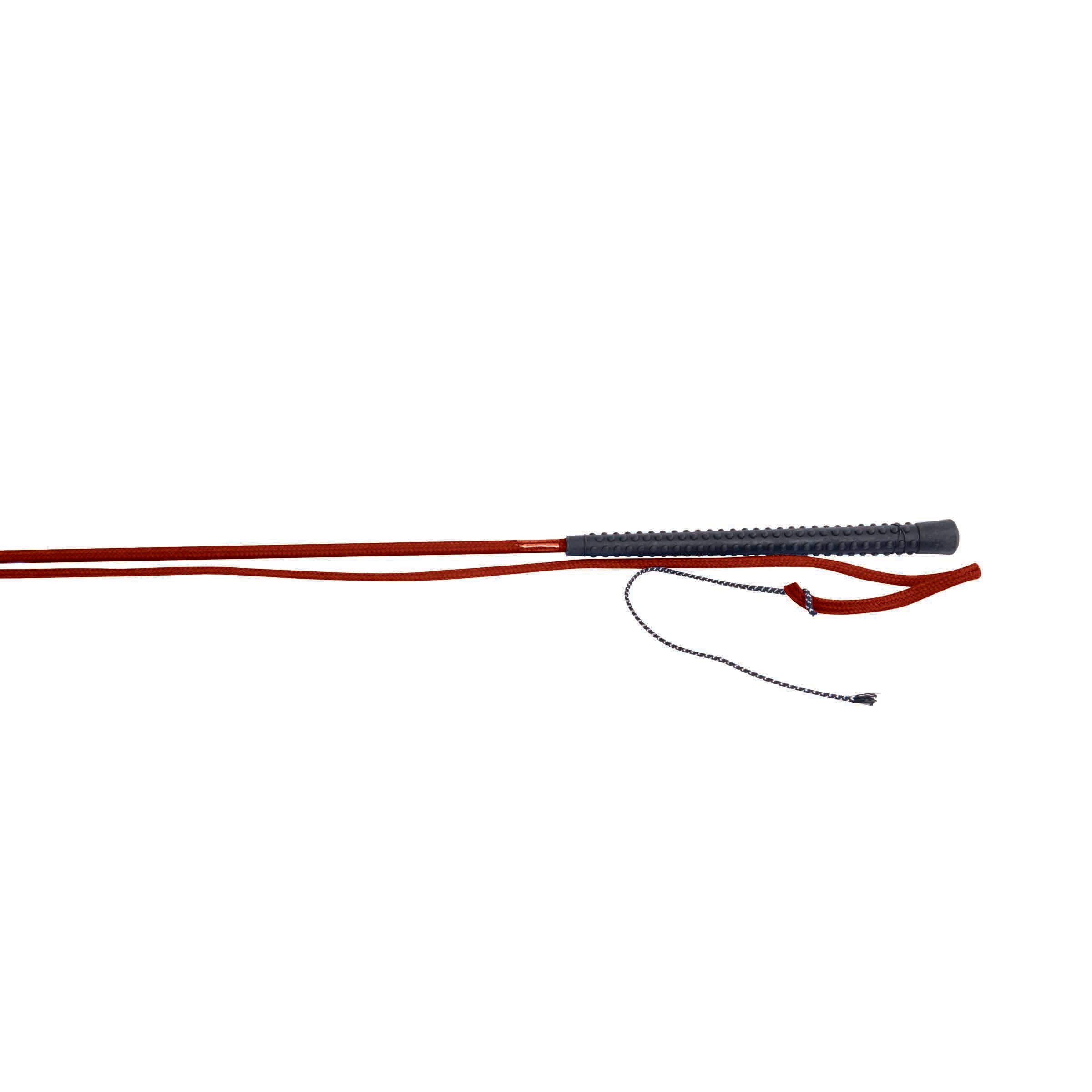 image_main - Red - Dublin Lunge Whip - .jpg