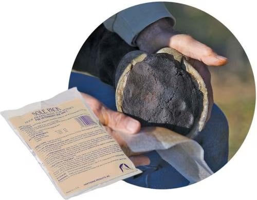 Sole Pack  Hoof Packing Pad