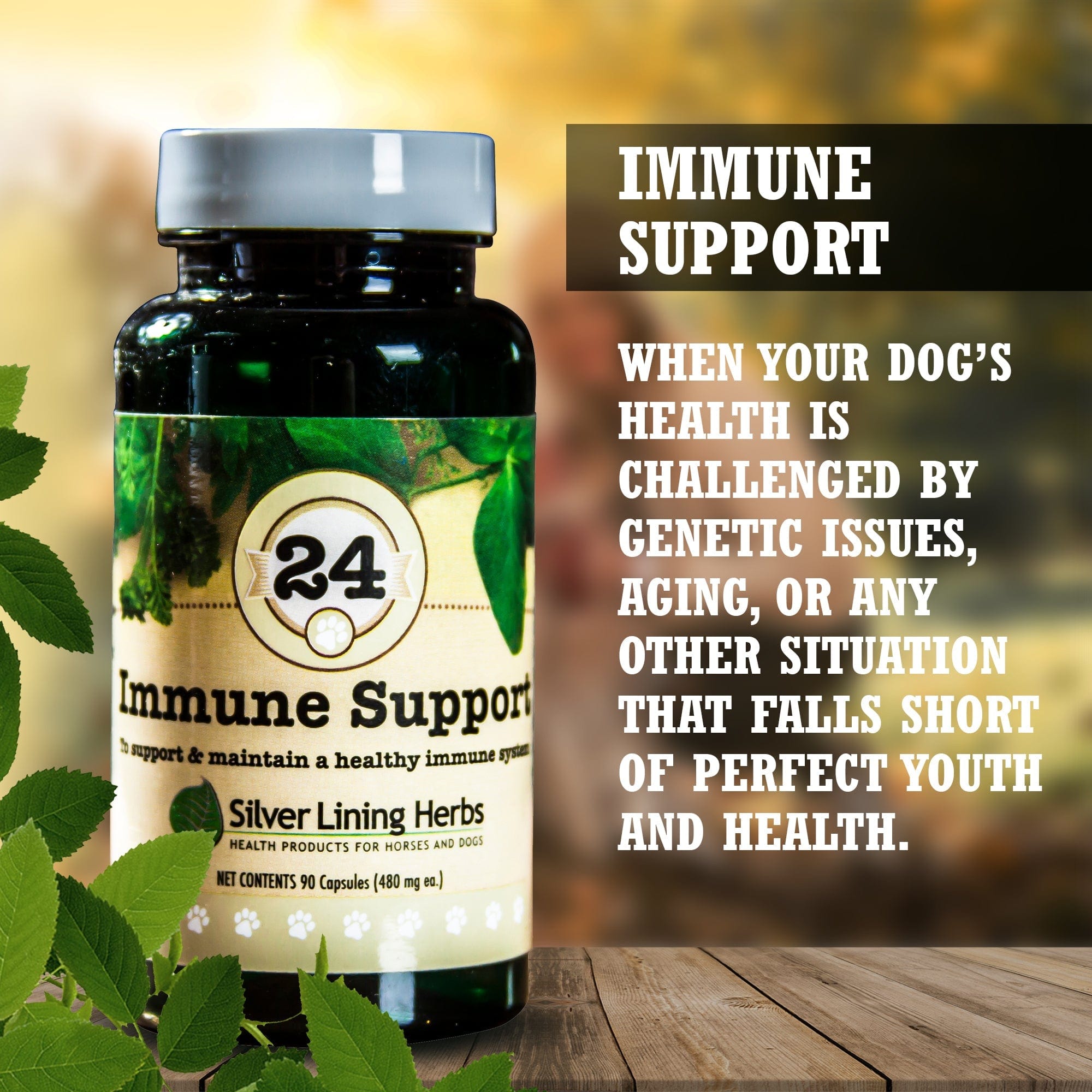 Immune Support for Canines - Equine Exchange Tack Shop