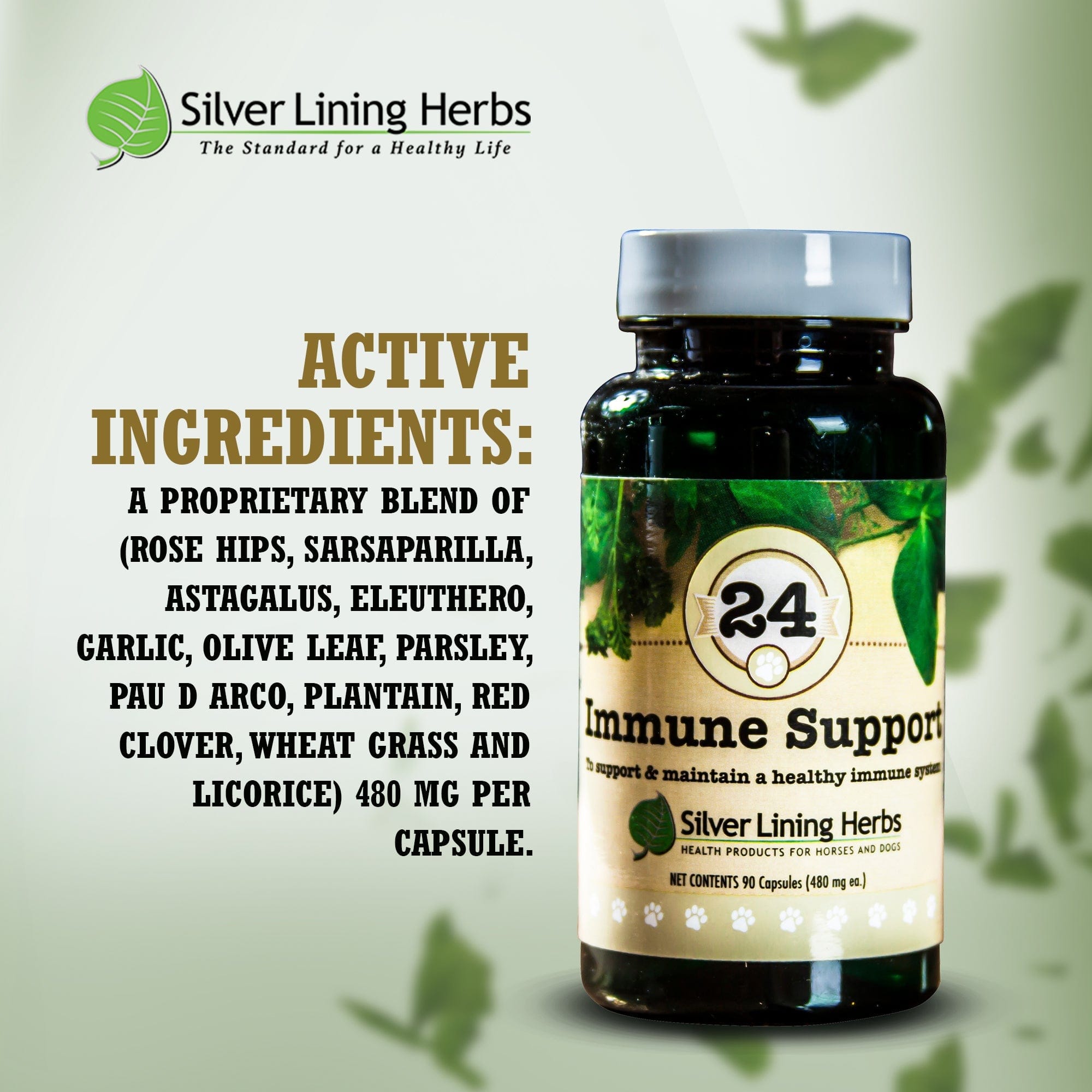 Immune Support for Canines - Equine Exchange Tack Shop