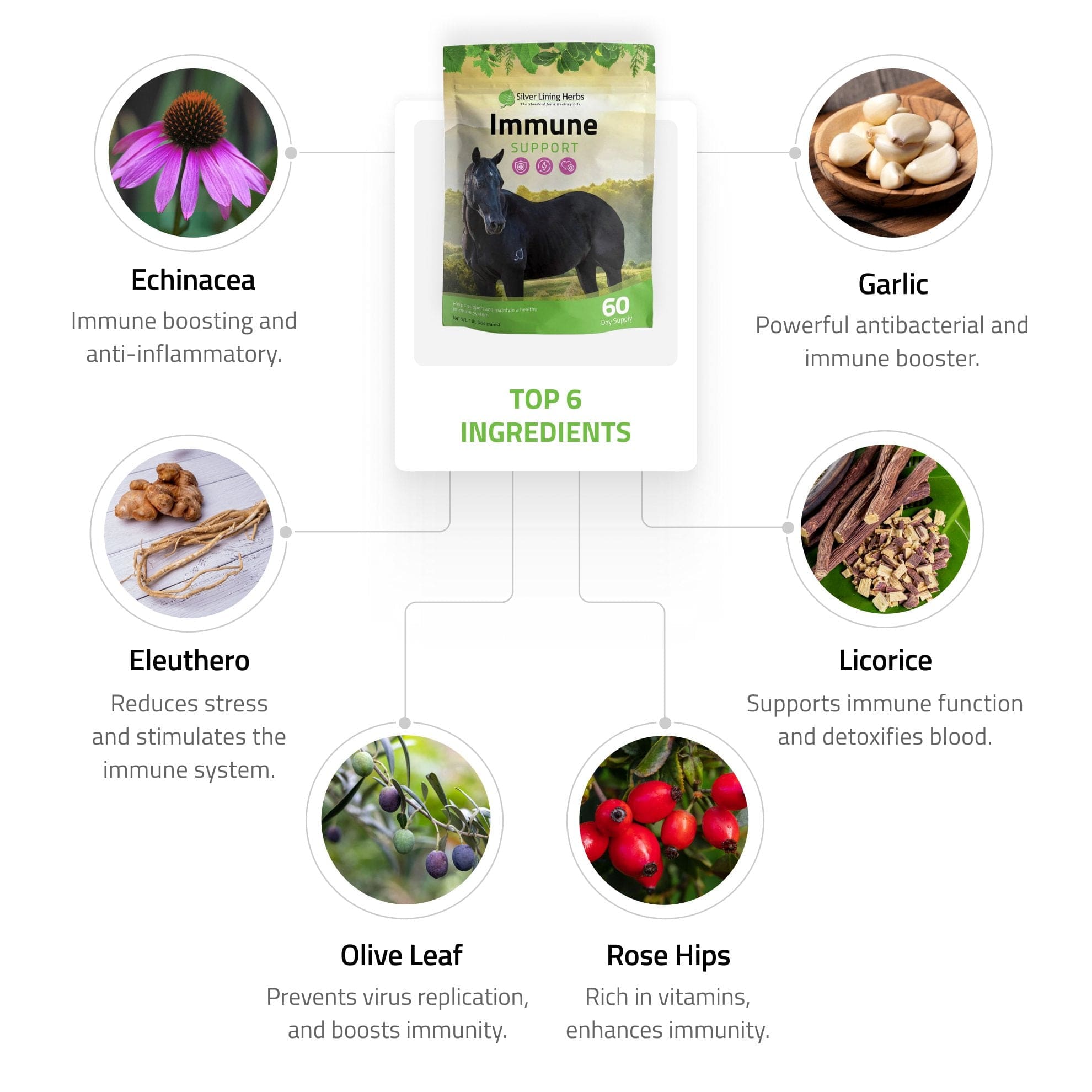 Immune Support for Horses - Equine Exchange Tack Shop