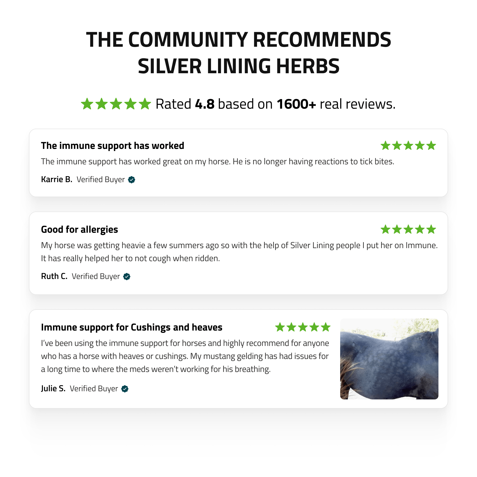Immune Support for Horses - Equine Exchange Tack Shop
