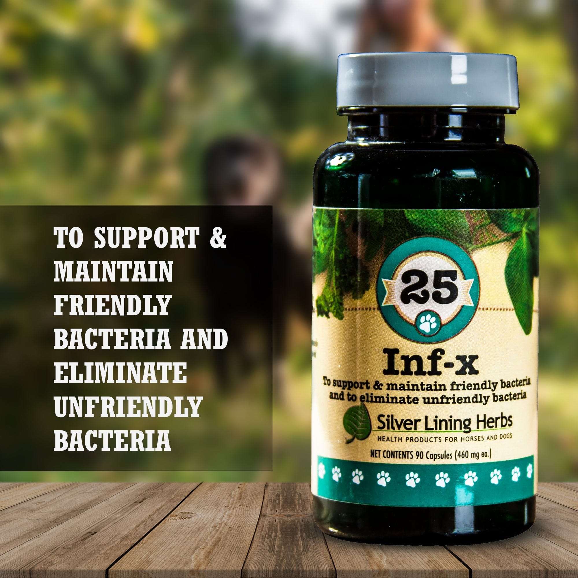 INF-X for Canines - 90 Capsules - Equine Exchange Tack Shop