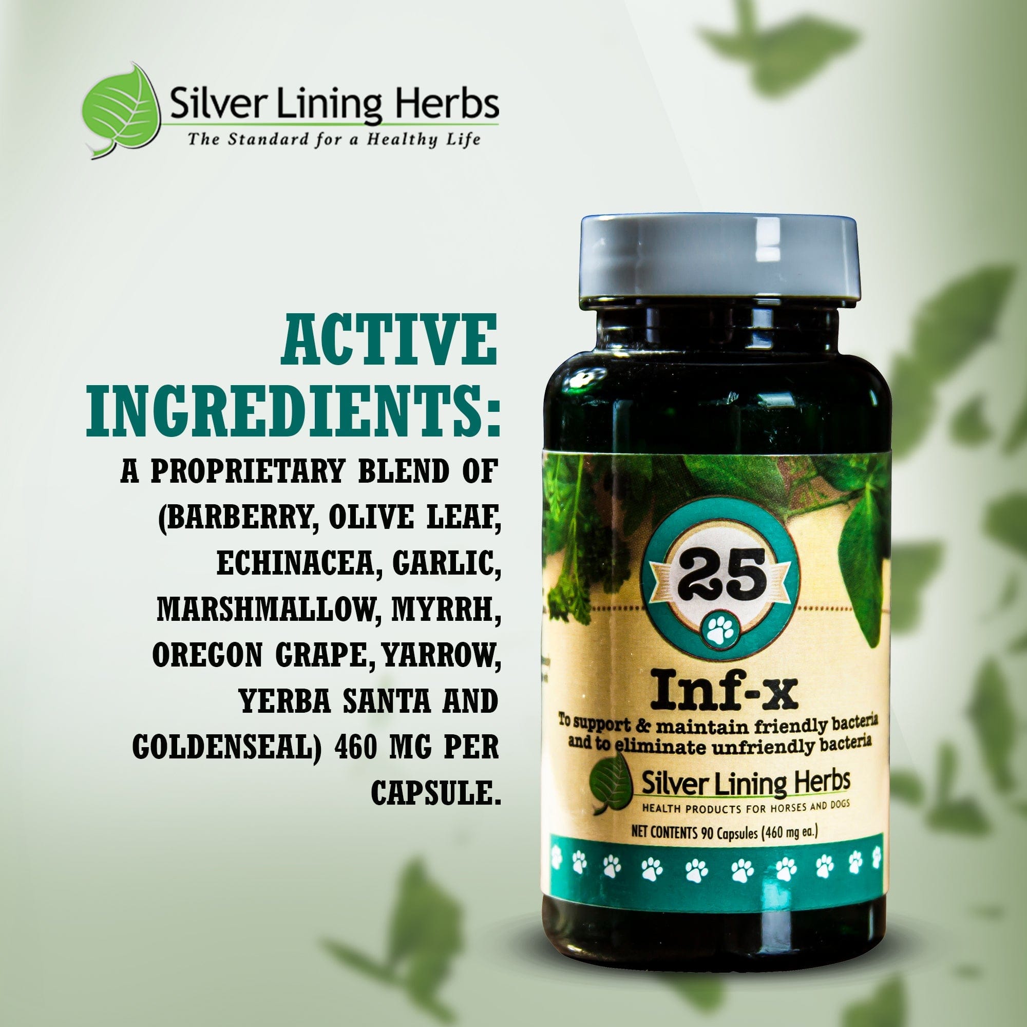 INF-X for Canines - 90 Capsules - Equine Exchange Tack Shop