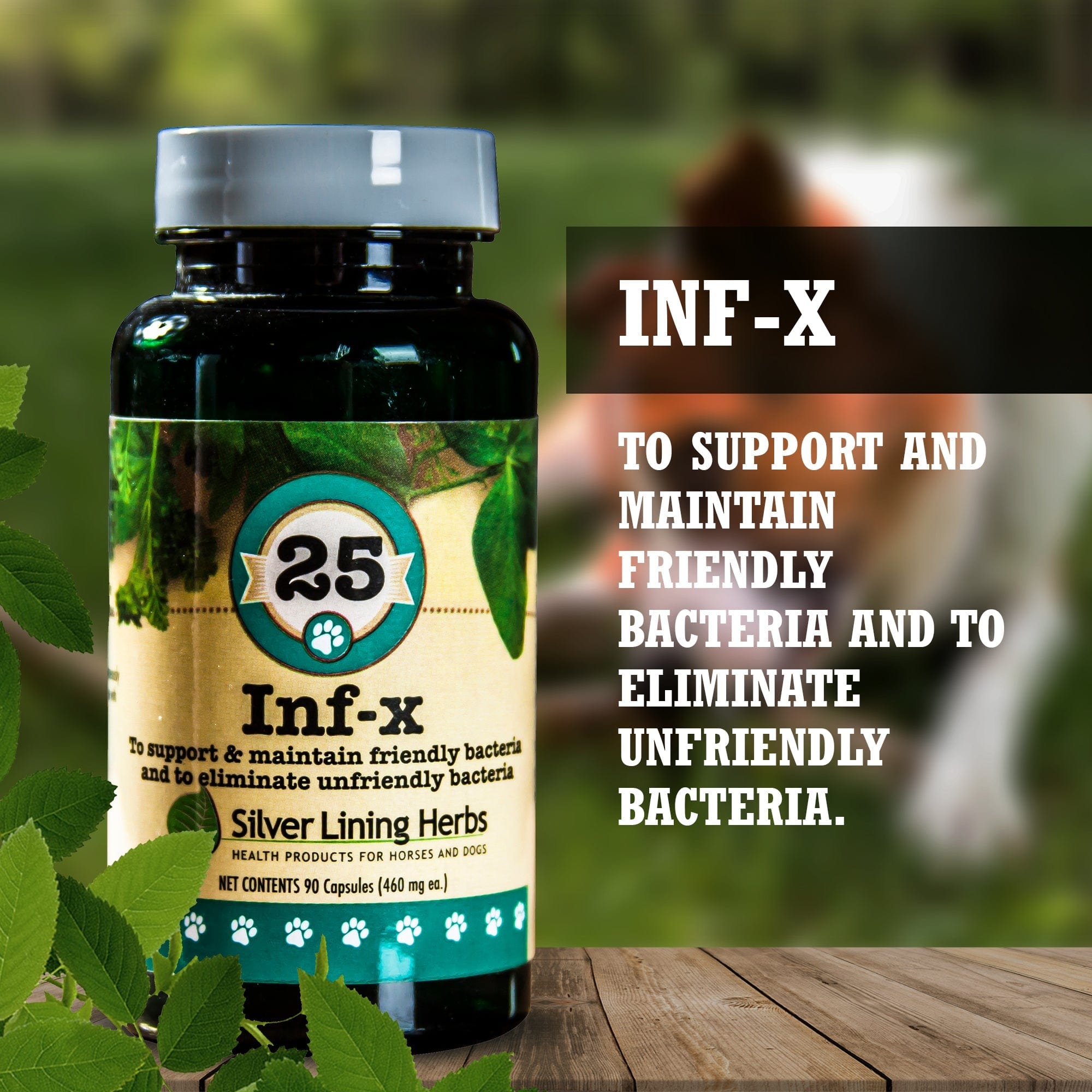 INF-X for Canines - 90 Capsules - Equine Exchange Tack Shop