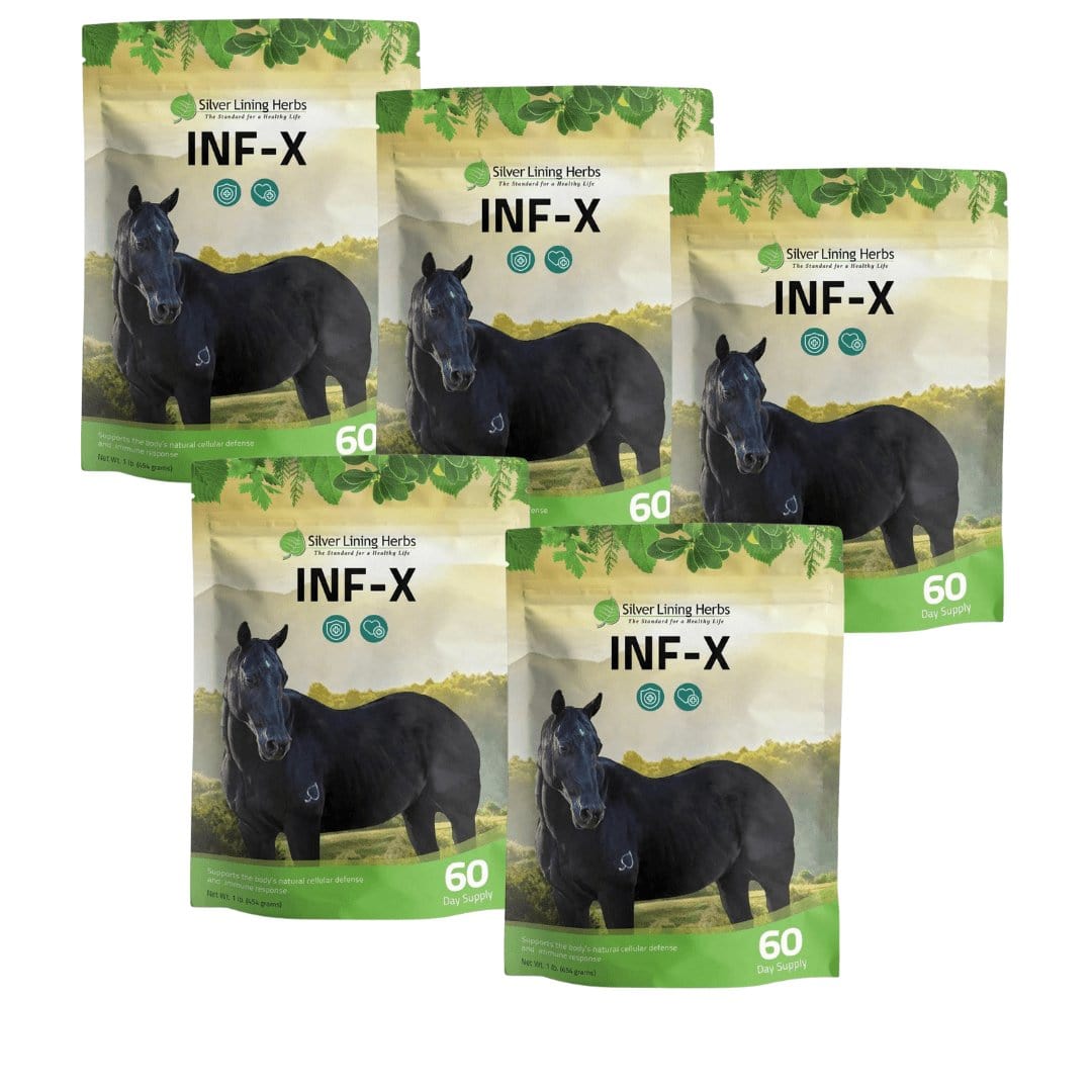 INF-X for Horses - Equine Exchange Tack Shop