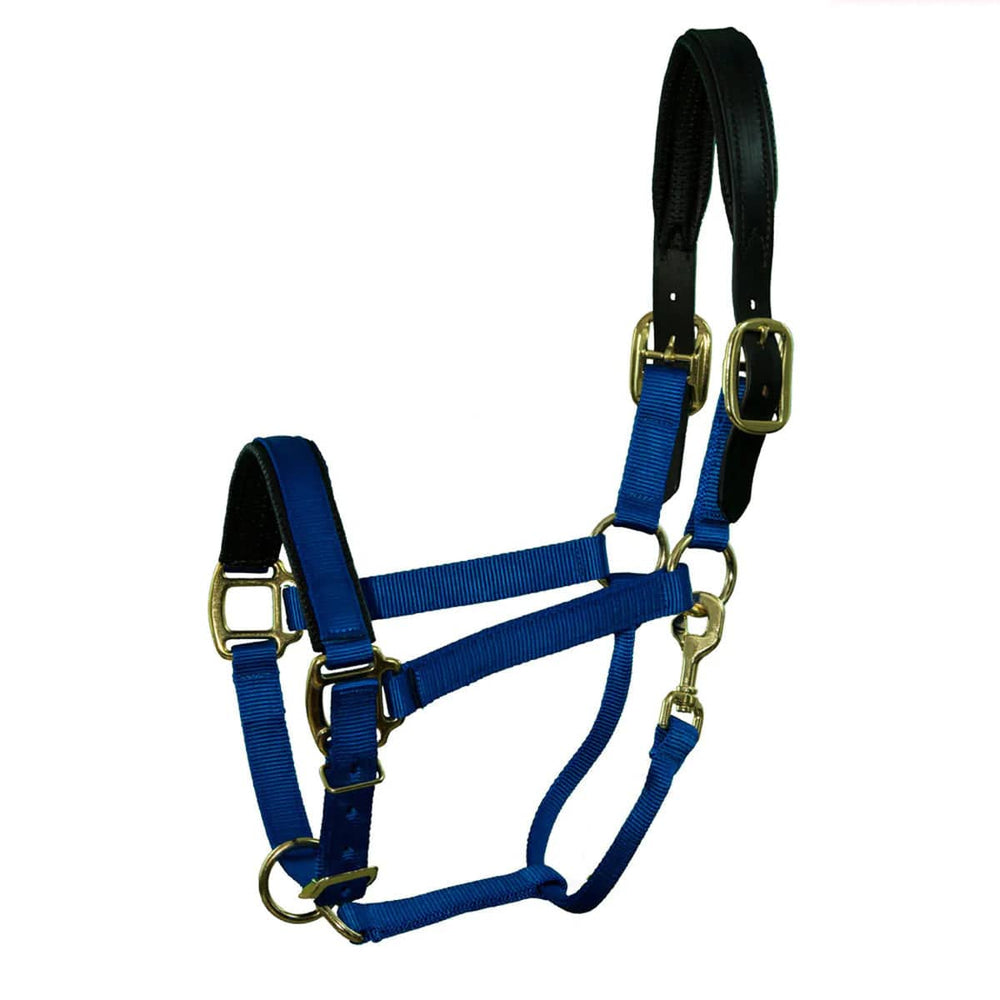 QHP Premium Nylon Padded Breakaway Mini Halter - Equine Exchange Tack Shop