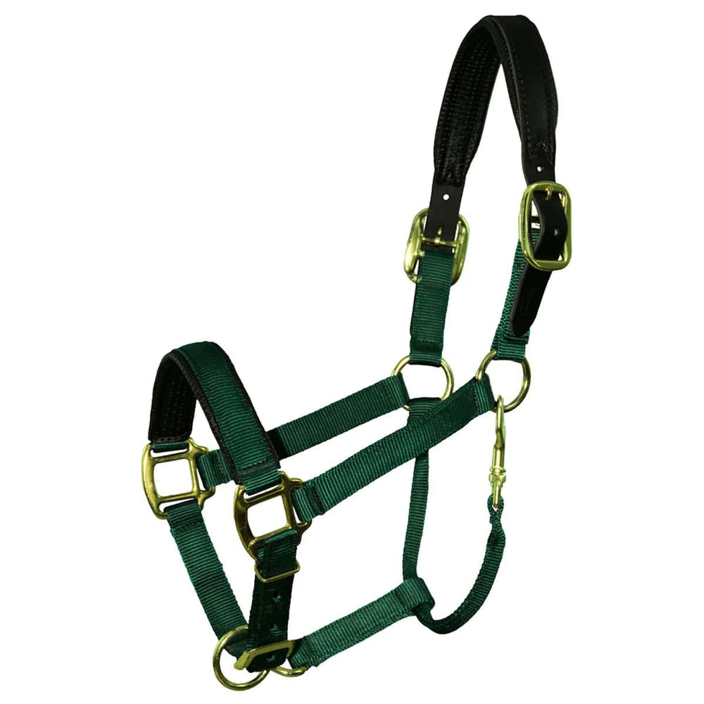 QHP Premium Nylon Padded Breakaway Mini Halter - Equine Exchange Tack Shop
