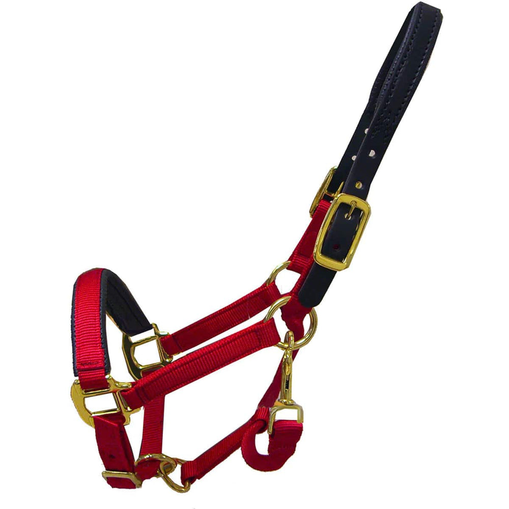 QHP Premium Nylon Padded Breakaway Mini Halter - Equine Exchange Tack Shop