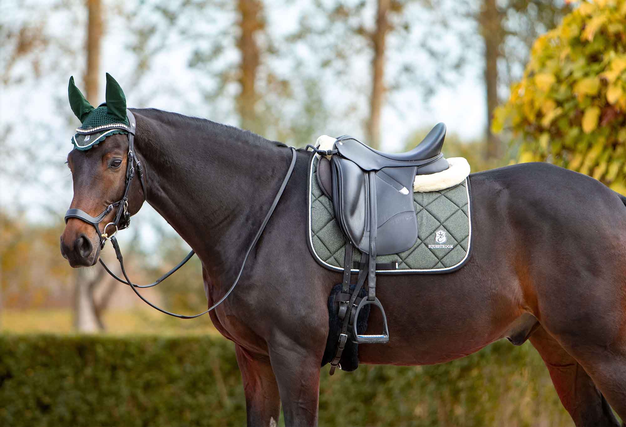 Jade Green Saddle Pad Set - Equine Exchange Tack Shop