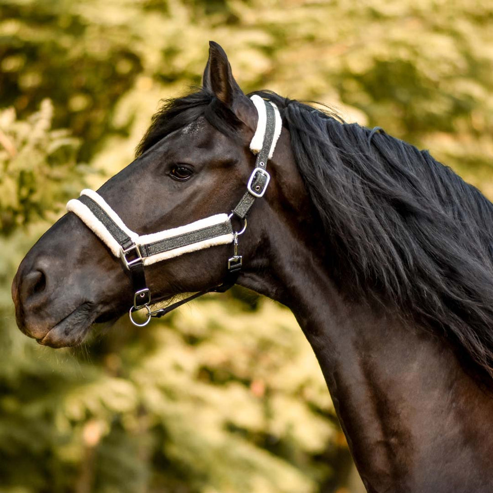 Jade Green Halter - Equine Exchange Tack Shop