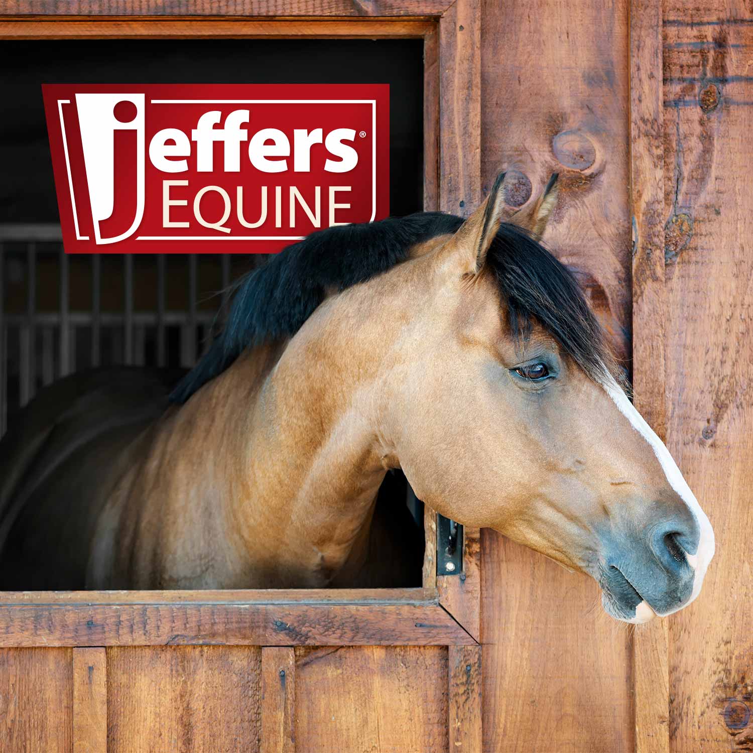 Jeffers Equine No-Rinse Waterless Horse Shampoo - Equine Exchange Tack Shop