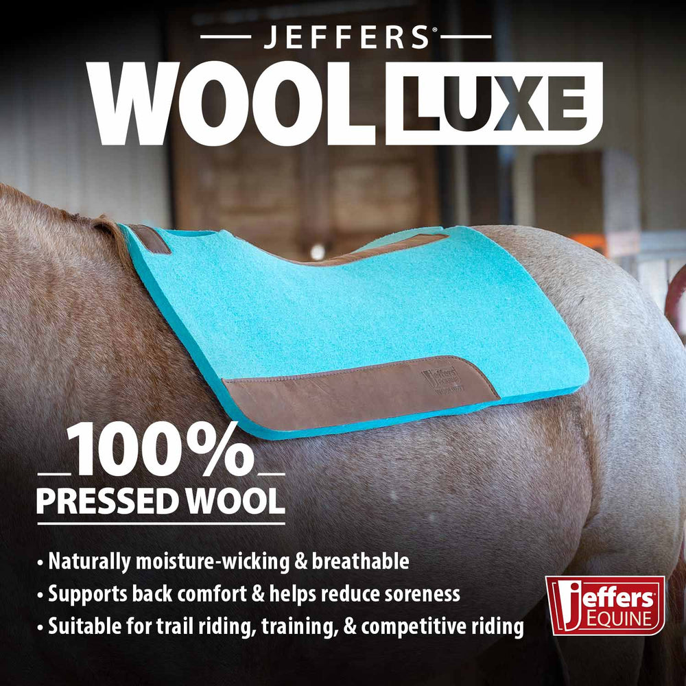 WoolLuxe 100% Wool Western Saddle Pad – Cushioned, Breathable, and Shock-Absorbing