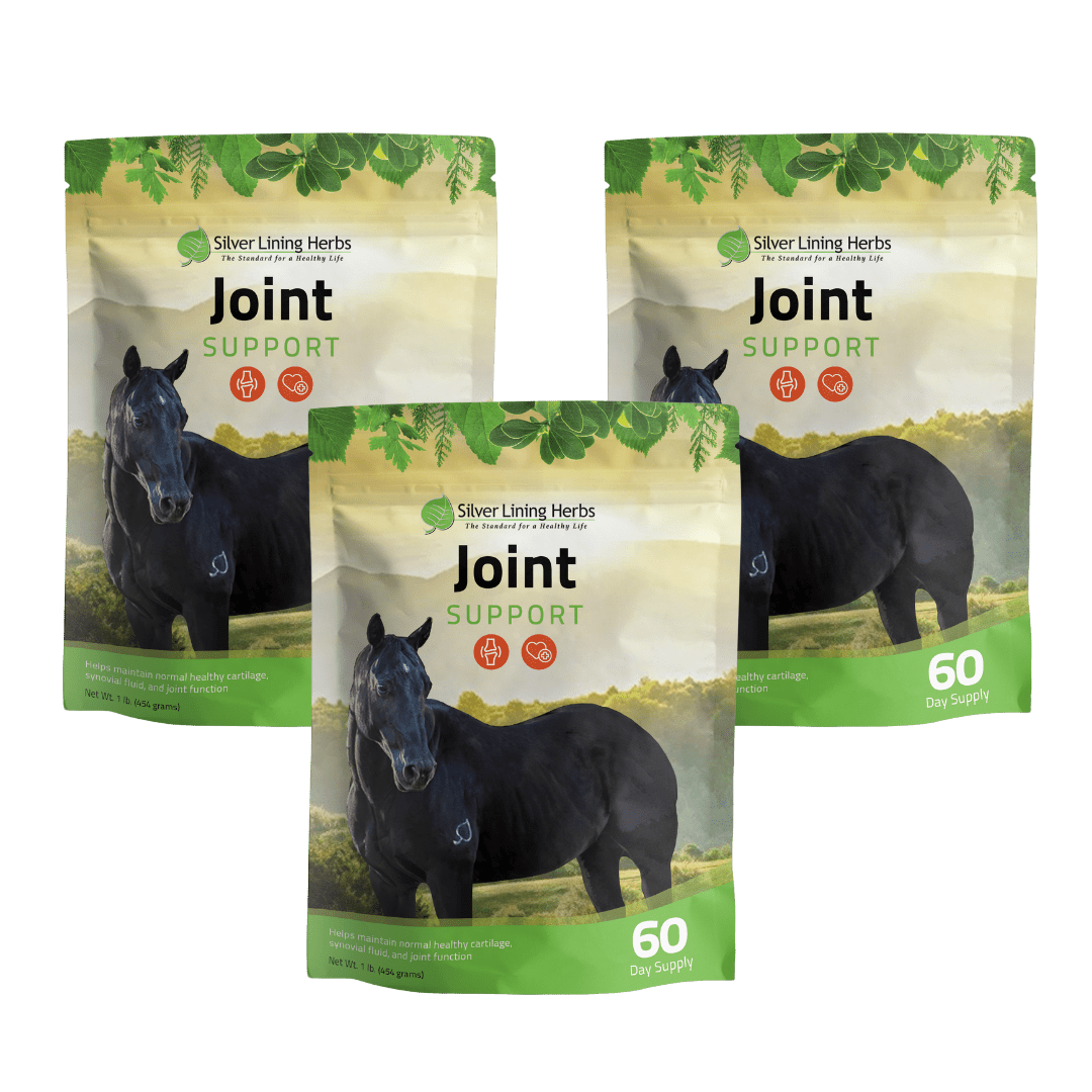 Joint Support for Horses - Equine Exchange Tack Shop