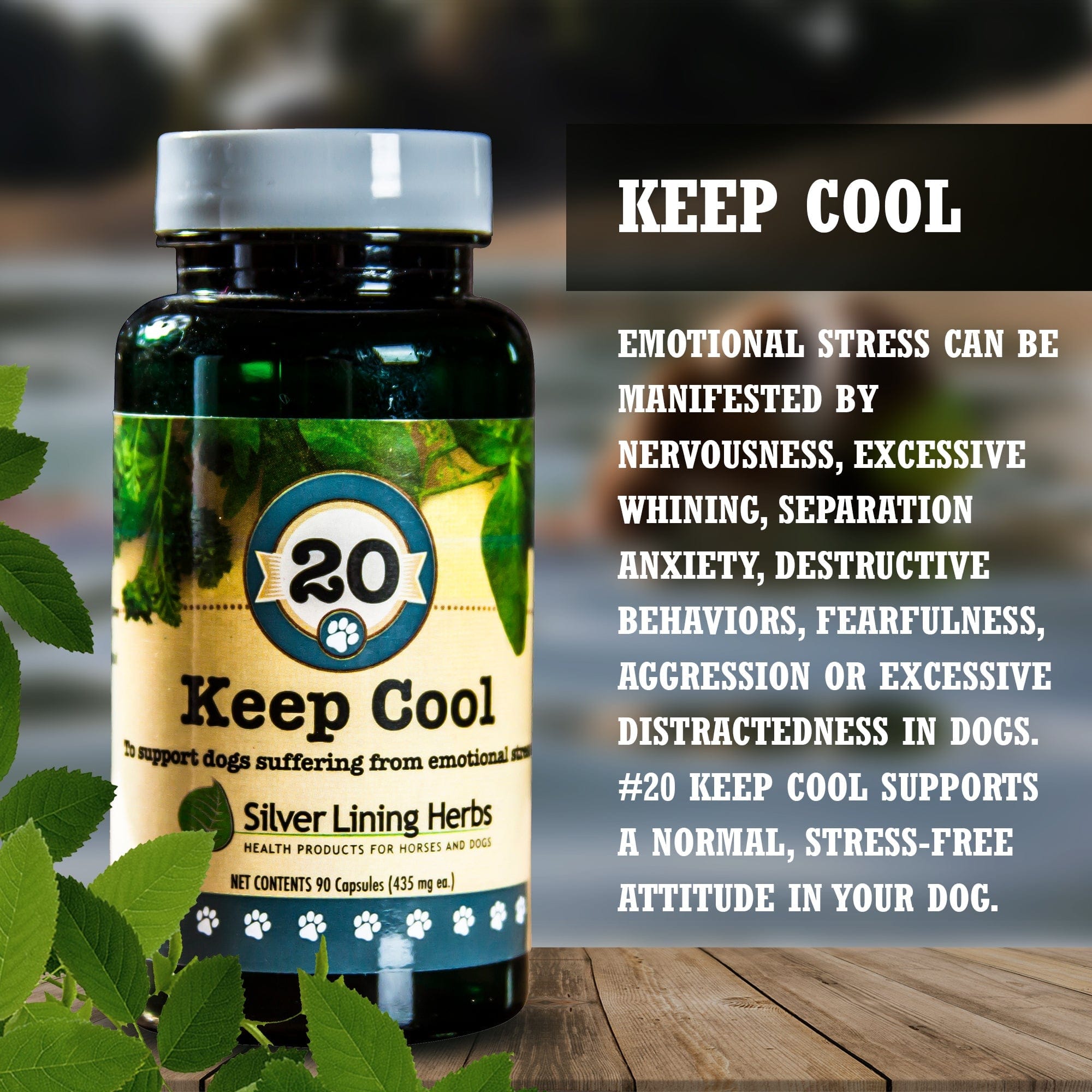Keep Cool for Canines - Equine Exchange Tack Shop