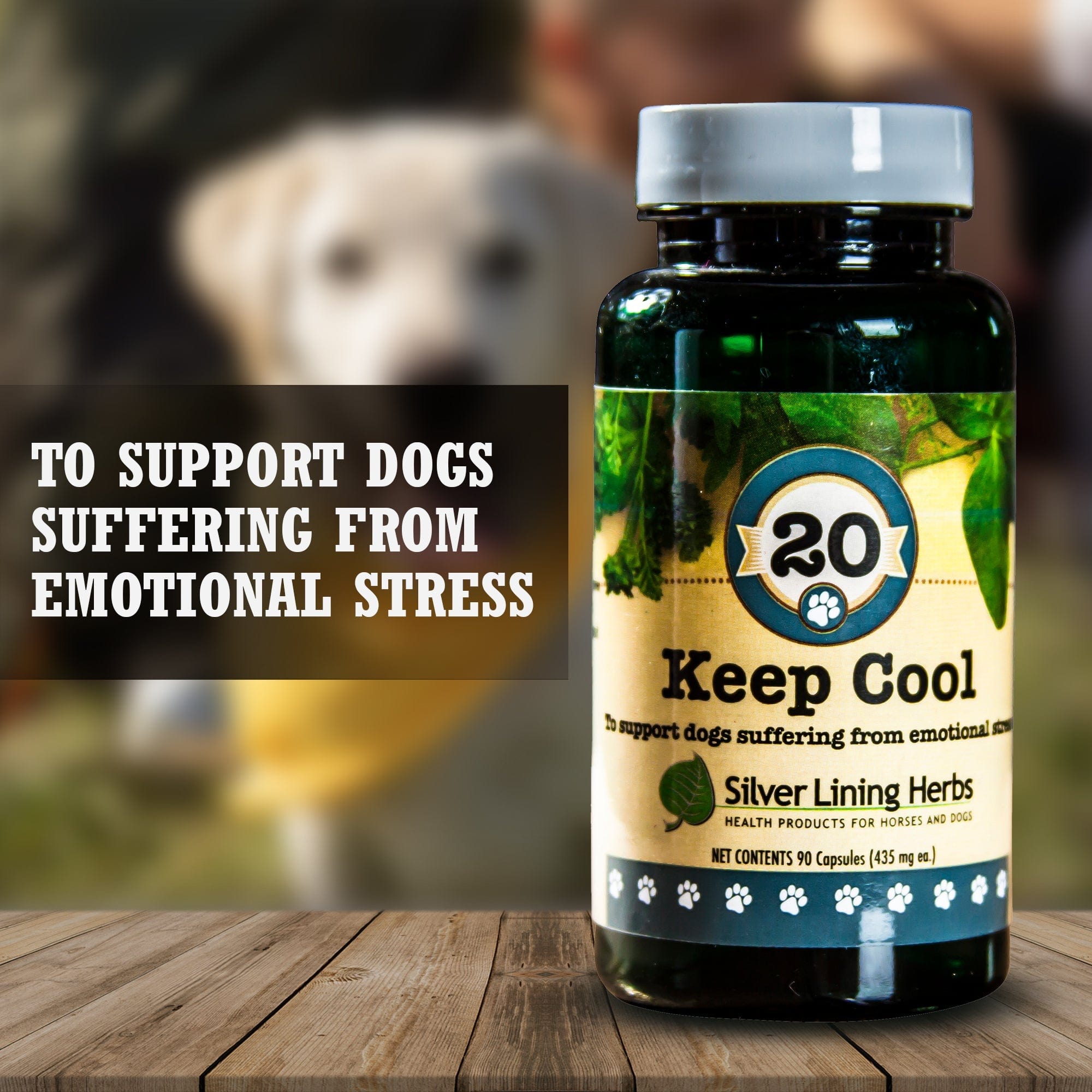 Keep Cool for Canines - Equine Exchange Tack Shop