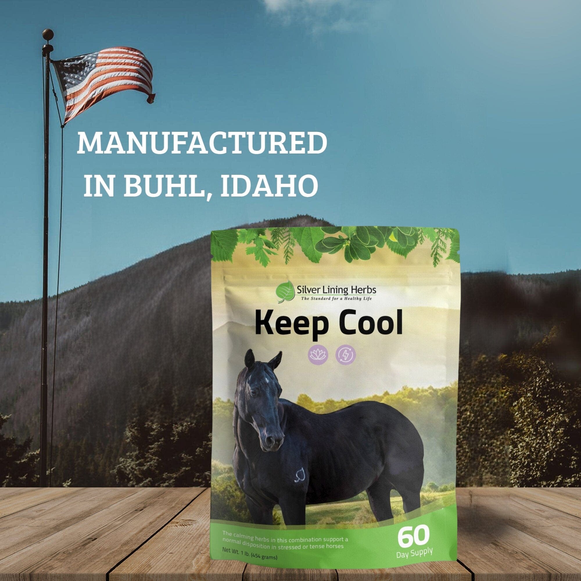 Keep Cool for Horses - Equine Exchange Tack Shop