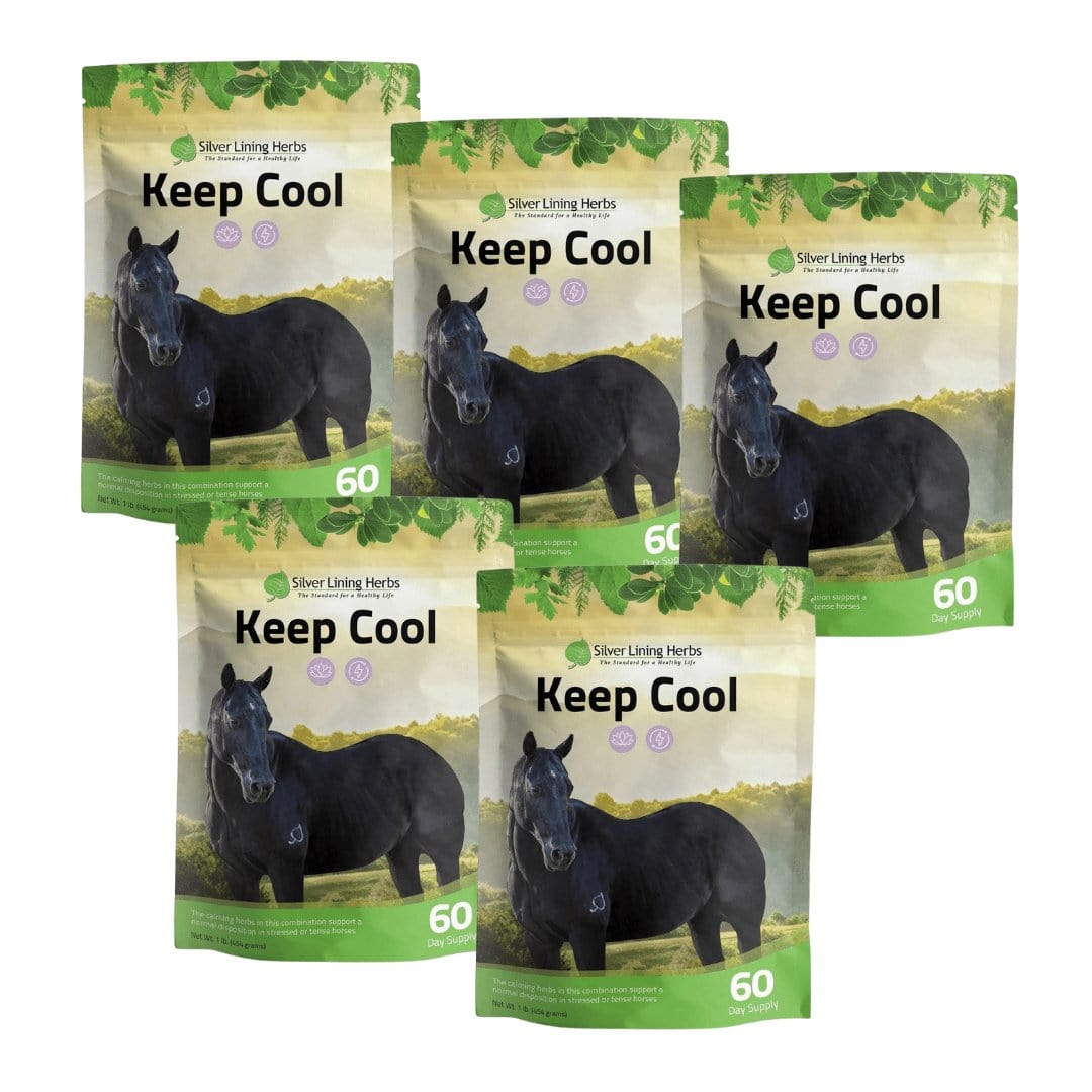 Keep Cool for Horses - Equine Exchange Tack Shop