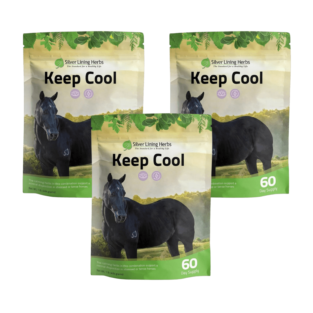 Keep Cool for Horses - Equine Exchange Tack Shop