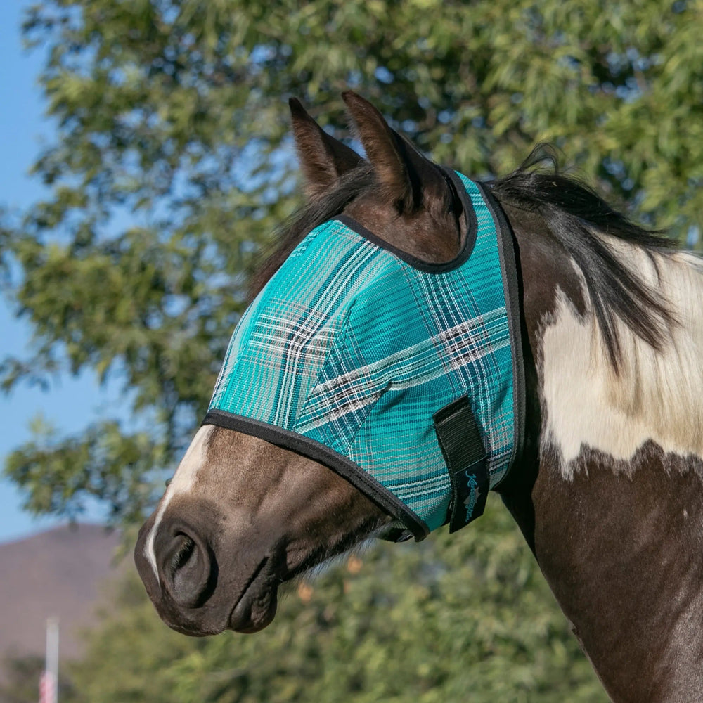 Draft Fly Mask with Web Trim - Open Ear Design - 73% UV Blocking - Equine Exchange Tack Shop