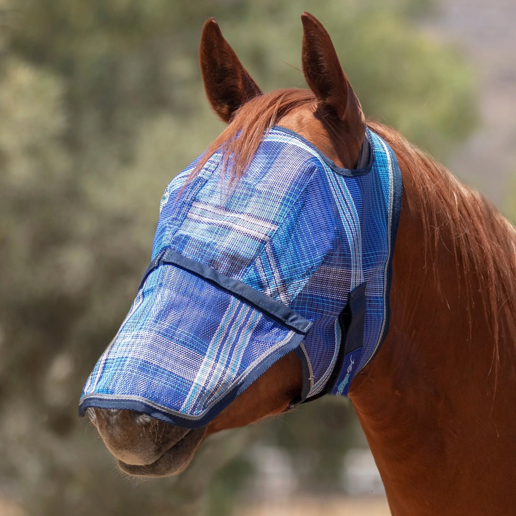 Fly Mask with Removable Nose - 73% UV Blocking - Equine Exchange Tack Shop