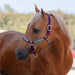 Premium Nylon Breakaway Halter - Equine Exchange Tack Shop
