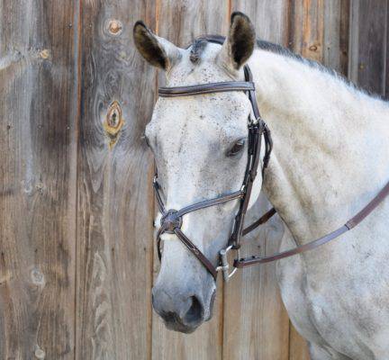 KL Select Black Oak Cedar Eventing Bridle - Equine Exchange Tack Shop