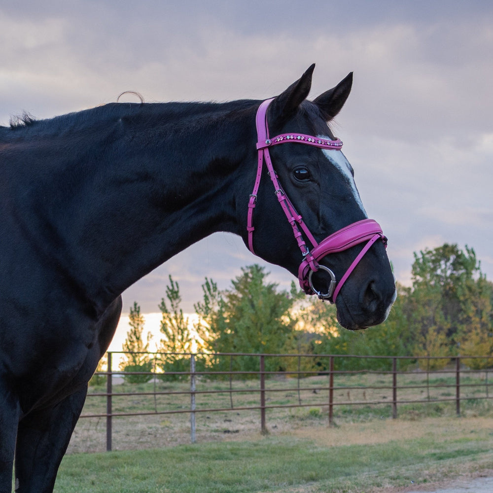 The Barbie Pink Leather Snaffle Bridle - Equine Exchange Tack Shop