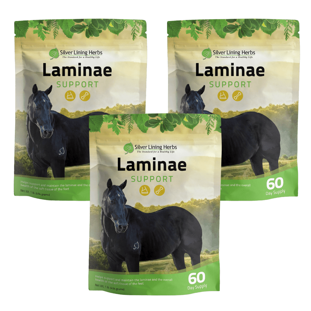 Laminae Support for Horses - Equine Exchange Tack Shop