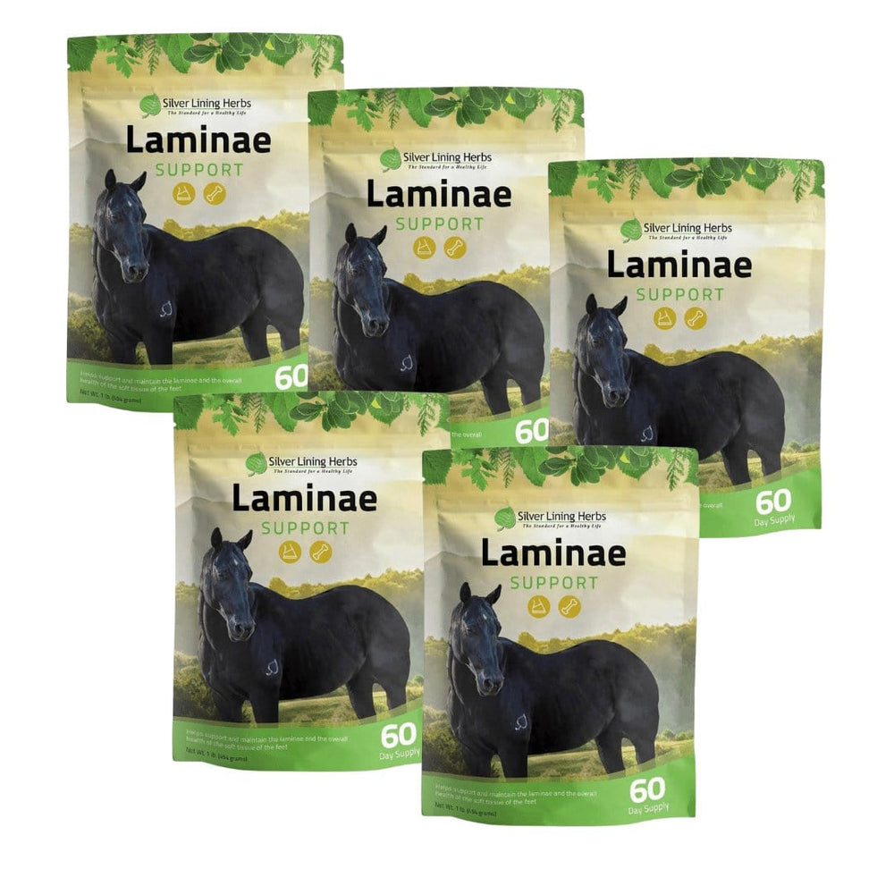 Laminae Support for Horses - Equine Exchange Tack Shop