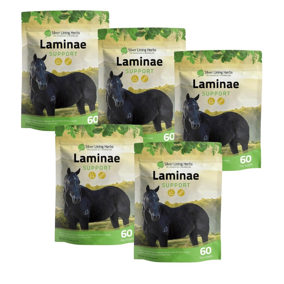 Laminae Support for Horses - Equine Exchange Tack Shop