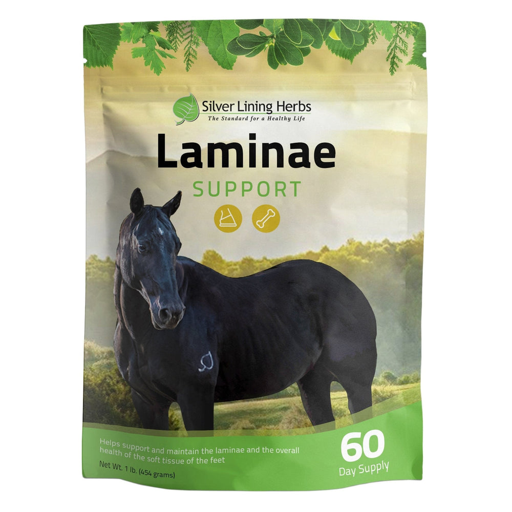 Laminae Support for Horses - Equine Exchange Tack Shop