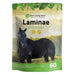 Laminae Support for Horses - Equine Exchange Tack Shop