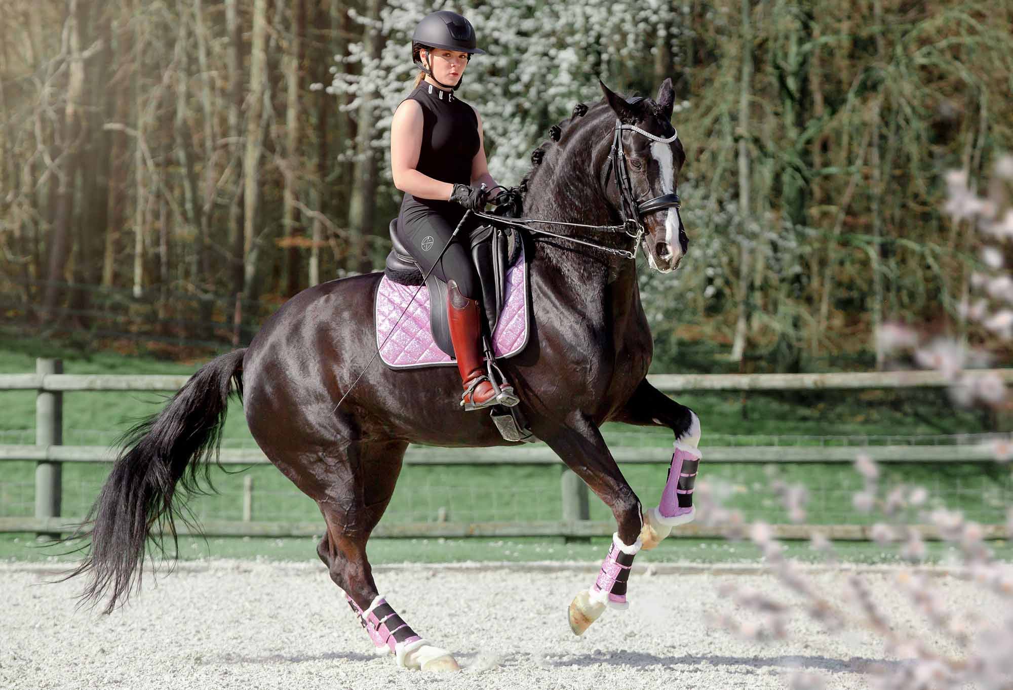 Lavender Saddle Pad - Equine Exchange Tack Shop