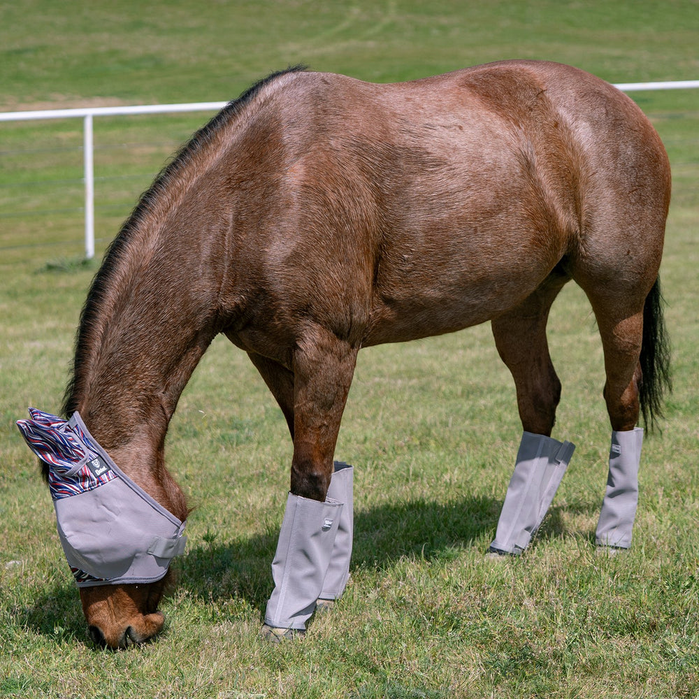 Cashel Leg Guards - Set of 4  