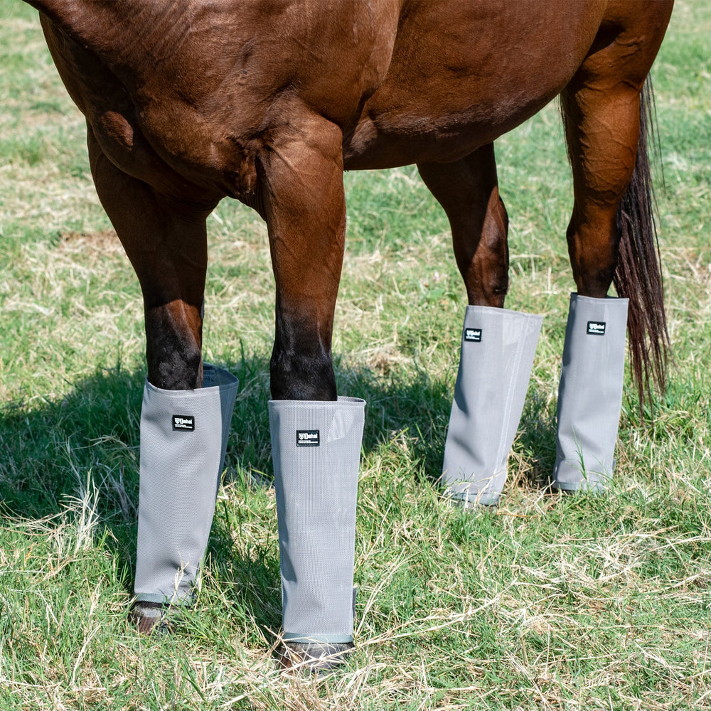 Cashel Leg Guards - Set of 4  