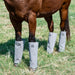 Cashel Leg Guards - Set of 4  