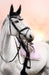 Frosted Lilac Browband - Equine Exchange Tack Shop